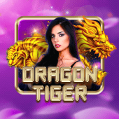 Dragon Tiger on Scater live casino